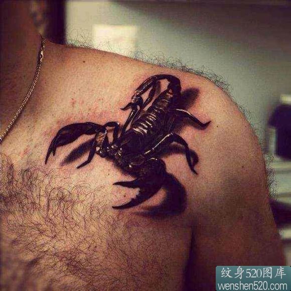 点击大图看下一张：肩部前面逼真的3d大蝎子纹身