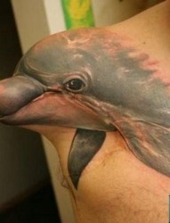 3d海豚遮盖纹身作品