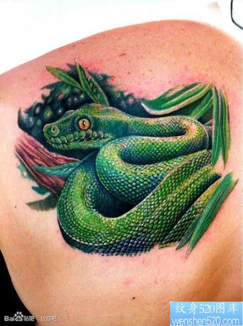 点击大图看下一张：男生肩背精美的欧美3D彩色蛇纹身图片