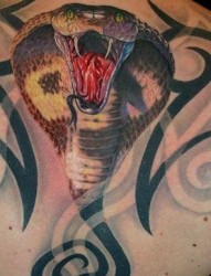一张背部3D彩色蛇纹身图案