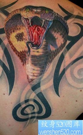 点击大图看下一张：一张背部3D彩色蛇纹身图案