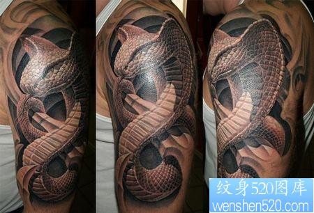 点击大图看下一张：手臂3D蛇纹身图案