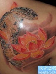 肩部3D彩色蛇莲花纹身图片图案