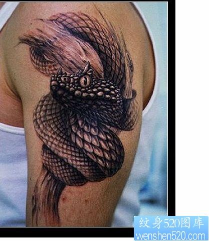 点击大图看下一张：一手臂欧美3D蛇纹身图案