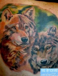 狼纹身作品：肩部欧美3D彩色狼头纹身图案