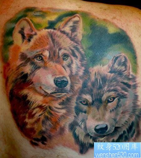 点击大图看下一张：狼纹身作品：肩部欧美3D彩色狼头纹身图案
