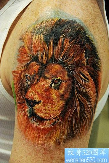 点击大图看下一张：狮子纹身图片：手臂彩色3D狮子纹身图案