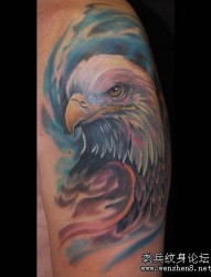 一张手臂3D彩色老鹰纹身图案