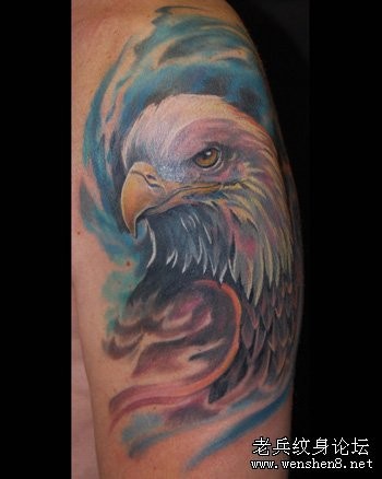 点击大图看下一张：一张手臂3D彩色老鹰纹身图案