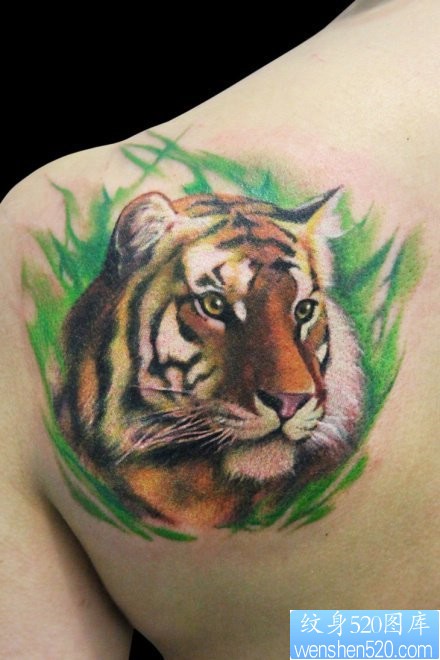 点击大图看下一张：肩部3D彩色老虎虎头纹身