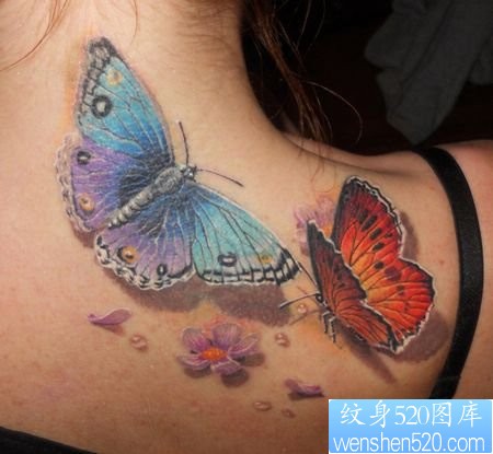 点击大图看下一张：美女肩部3D彩色蝴蝶纹身图片