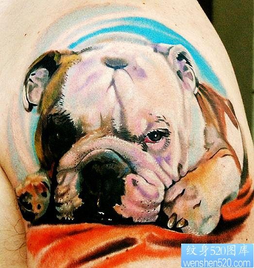 点击大图看下一张：动物纹身图片：手臂3D彩色哈巴狗纹身图案