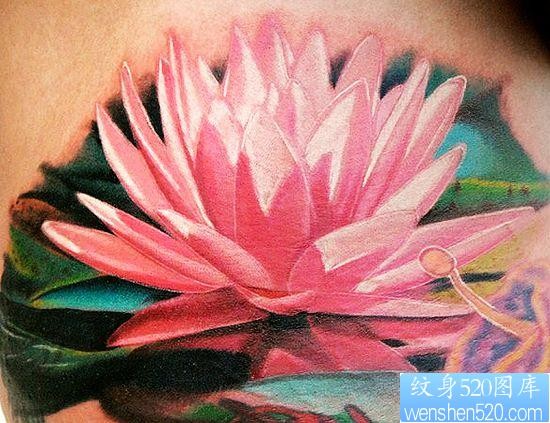 点击大图看下一张：莲花纹身图片：3D彩色莲花纹身图案