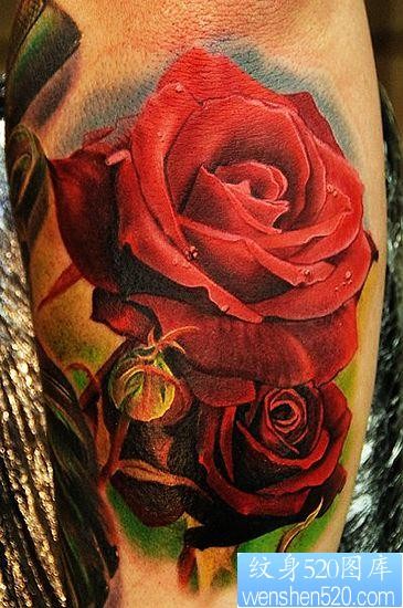 点击大图看下一张：玫瑰纹身图片：3D彩色玫瑰纹身图案