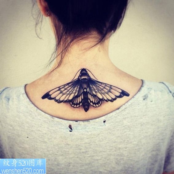 点击大图看下一张：飞蛾纹身3D纹身图案图案