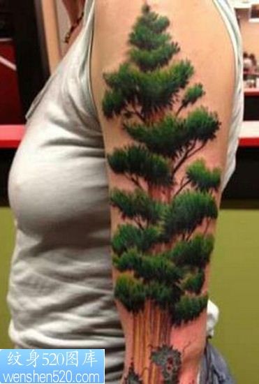 点击大图看下一张：3D纹身手臂上的松树纹身图案图案