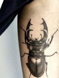 3D甲壳虫纹身图案