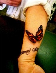 手臂上一只漂亮的蝴蝶纹身