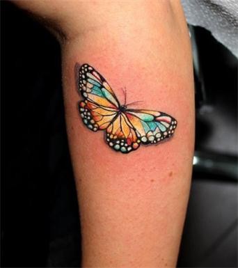 点击大图看下一张：手臂上一只漂亮的蝴蝶纹身图2