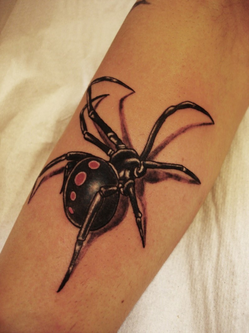 点击大图看下一张：手臂上非常逼真的蜘蛛纹身