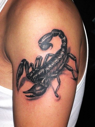 点击大图看下一张：手臂个性逼真的蝎子纹身