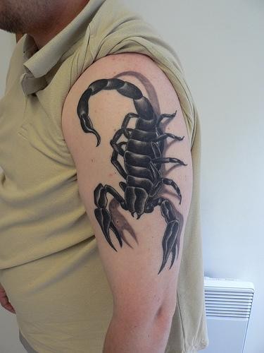 点击大图看下一张：手臂个性逼真的蝎子纹身图2