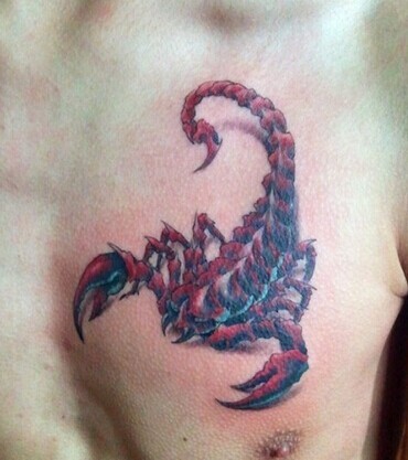 点击大图看下一张：男人胸部霸气的蝎子纹身图4
