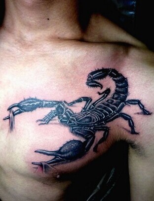 点击大图看下一张：男人胸部霸气的蝎子纹身图2