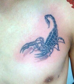 点击大图看下一张：男人胸部霸气的蝎子纹身图3