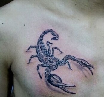 点击大图看下一张：男人胸部霸气的蝎子纹身图5