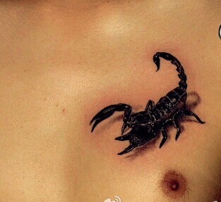 点击大图看下一张：男人胸部霸气的蝎子纹身图6