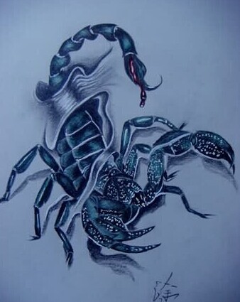 点击大图看下一张：时尚帅气的蝎子纹身手稿