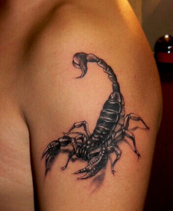 点击大图看下一张：胳膊上逼真的蝎子纹身