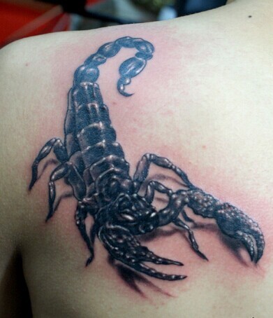 点击大图看下一张：个性逼真的蝎子纹身图4
