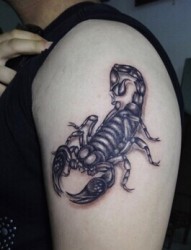 胳膊上个性的蝎子纹身