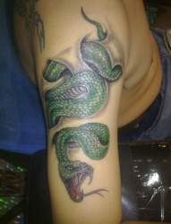 青蛇图案手臂刺青