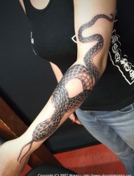 手臂长蛇纹身刺青图片