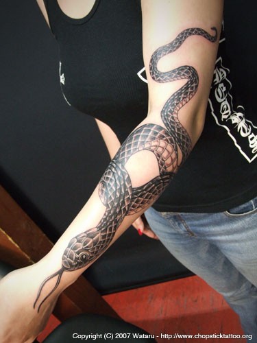 点击大图看下一张：手臂长蛇纹身刺青图片