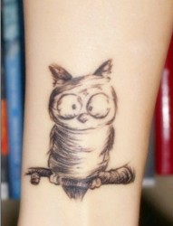 手臂黑白个性猫头鹰可爱刺青