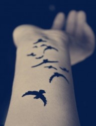 女性手臂鸟刺青
