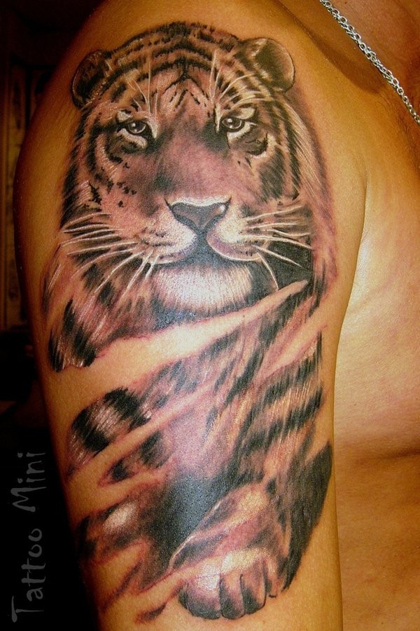 点击大图看下一张：男人手臂帅气的老虎纹身