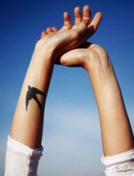 女性手臂燕子刺青