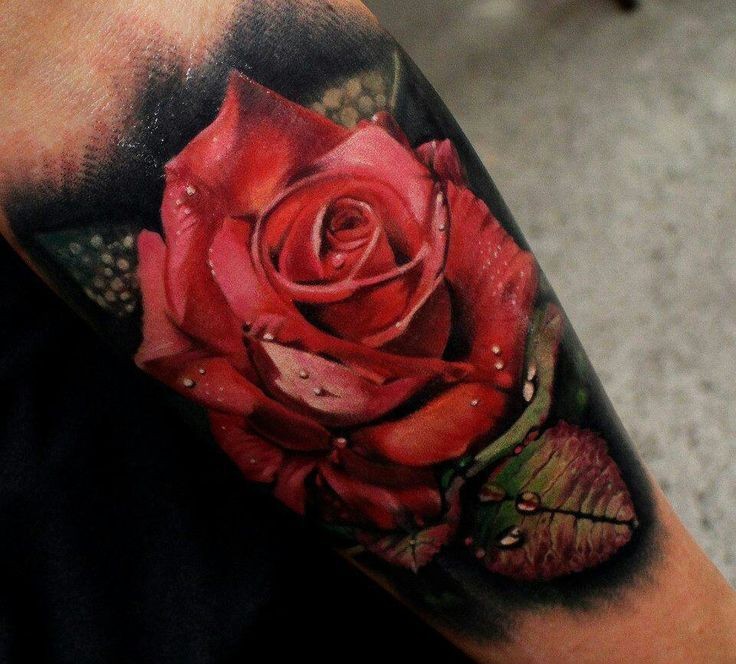 点击大图看下一张：手臂上逼真的玫瑰纹身手稿