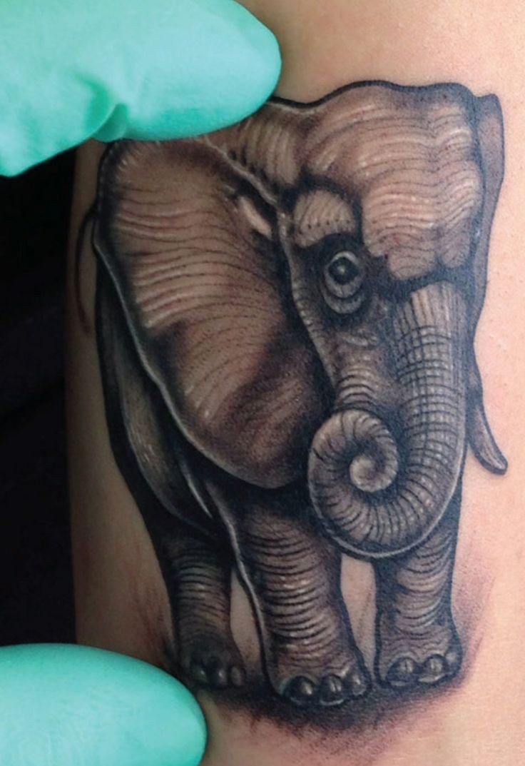 点击大图看下一张：一款逼真的大象纹身