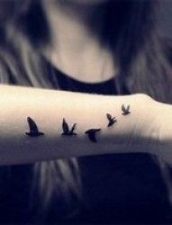 女性手臂海鸥黑白刺青