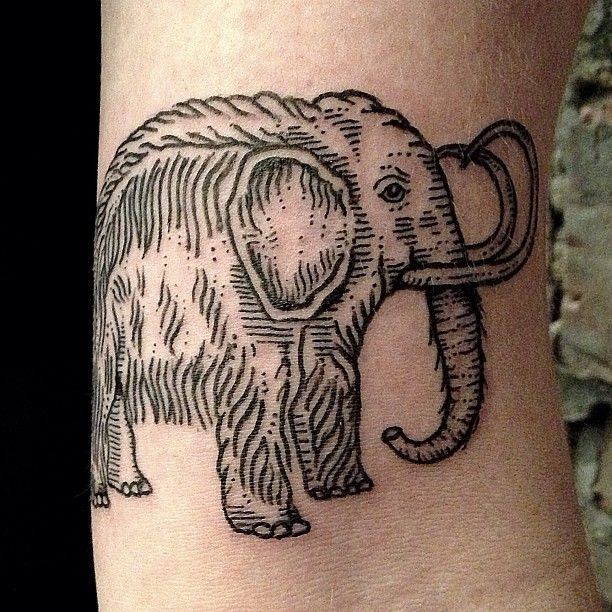 点击大图看下一张：手腕上一只大象纹身
