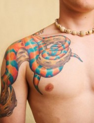男人肩膀彩色花蛇创意刺青