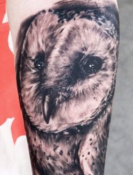 手臂个性的猫头鹰纹身
