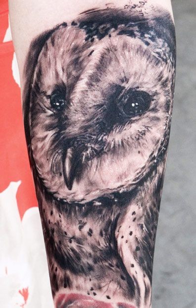 点击大图看下一张：手臂个性的猫头鹰纹身