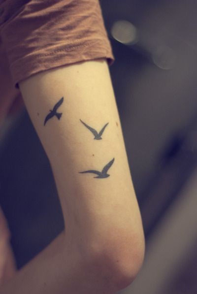 点击大图看下一张：手臂上一款漂亮的小鸟纹身